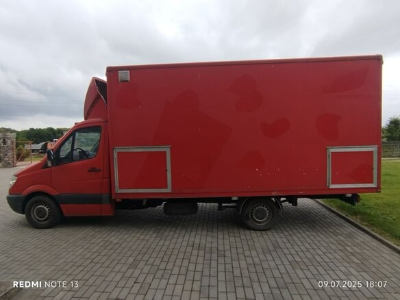 2007 Mercedes-Benz Sprinter, красный - вид 8