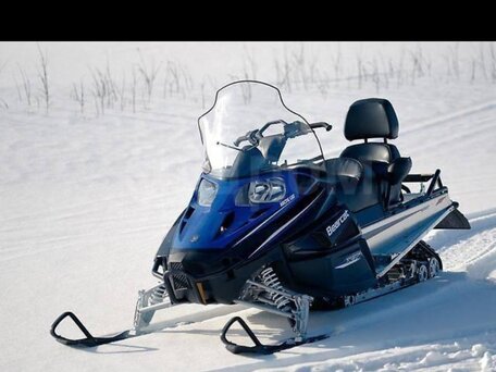 2012 Arctic Cat Bearcat, синий, 965000 рублей, вид 3