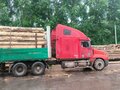 2000 Freightliner Century Class, красный, 900000 рублей - вид 2