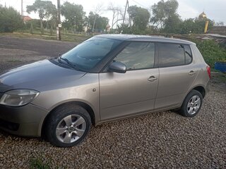 2009 Skoda Fabia II, серый, 345000 рублей, вид 4