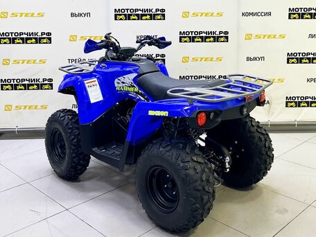 2025 Bison ATV200, синий, 218990 рублей, вид 3