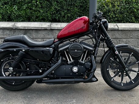 2017 Harley-Davidson Sportster 883, чёрный, 1200000 рублей, вид 4