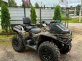 2025 AODES (Odes) Pathcross 1000 Mud Pro, коричневый, 1507000 рублей