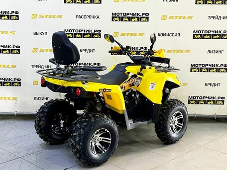 2026 Bison Hammer 200, жёлтый, 229000 рублей, вид 3