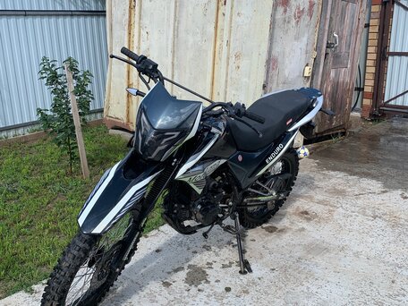 2023 Motoland XT 250 ST, зелёный, 155000 рублей, вид 5