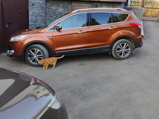 2015 Ford Kuga II, бежевый, 1450000 рублей, вид 3