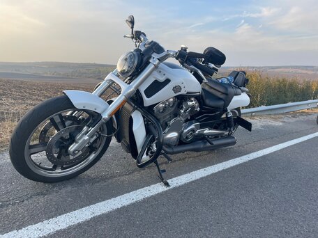 2011 Harley-Davidson V-Rod Muscle, белый, 1300000 рублей, вид 2