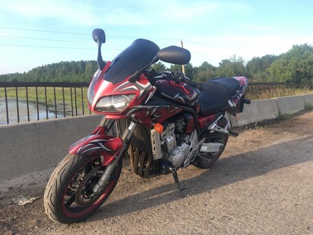 2005 Yamaha FZS1000 Fazer, красный, 320000 рублей, вид 1