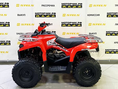 2025 Bison ATV200, красный, 218990 рублей, вид 2