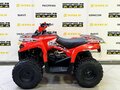 2025 Bison ATV200, красный - вид 1