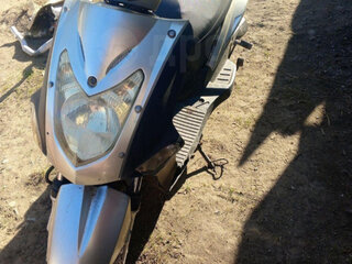 Titan Bobber Deluxe