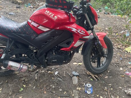 2014 Wels Ghost 250, красный, 110000 рублей, вид 3