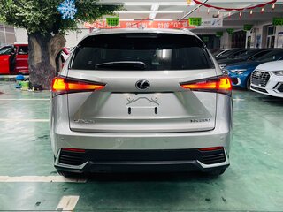 2021 Lexus NX 200 I Рестайлинг, серебристый, 3768000 рублей, вид 5