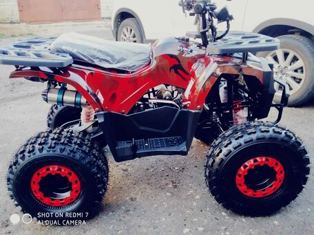 2025 Другие ATV (другие), красный, 145000 рублей, вид 1