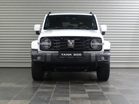 Tank 300 I