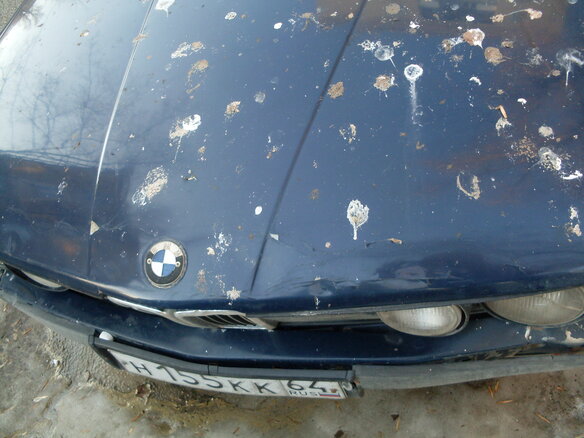 1981 BMW 5 серии 528i II (E28), синий - вид 9