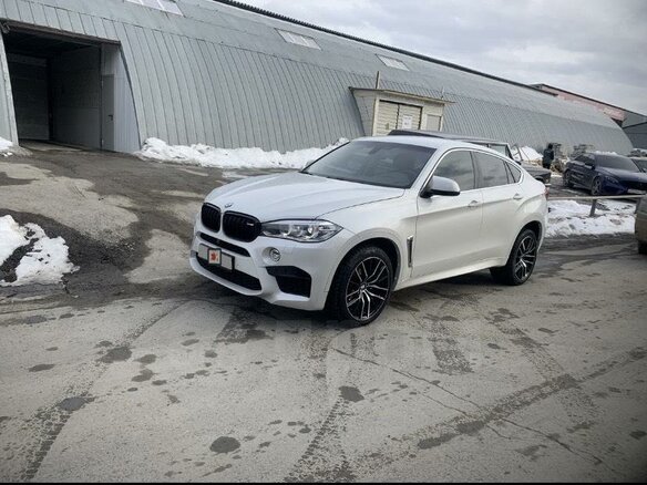 2015 BMW X6 35i II (F16), белый - вид 2