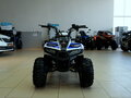 2021 Motoland ATV 110 Eagle, белый - вид 7