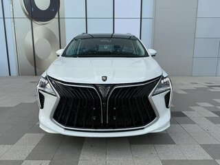 2024 Forthing Yacht, белый, 3000678 рублей, вид 2