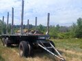 2017 МАЗ Полуприцеп сортиментовоз, серый, 820000 рублей - вид 1