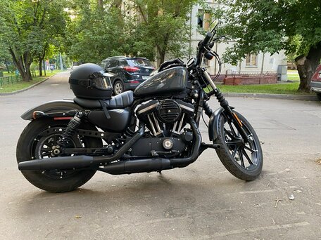 2019 Harley-Davidson Sportster 883, серый, 883000 рублей, вид 5