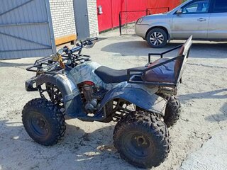 2020 Anaig Brisk, коричневый, 130000 рублей, вид 3