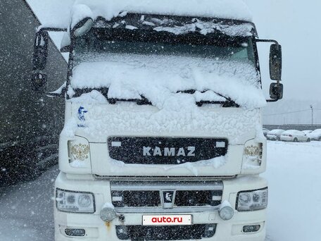 2020 КамАЗ 5490, белый, 3280000 рублей, вид 2