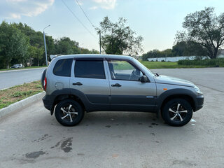 2010 Chevrolet Niva I Рестайлинг, серый, 470000 рублей, вид 3