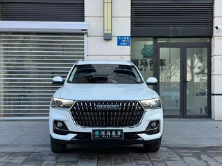 2023 Haval H6 III, белый, 1430000 рублей, вид 3