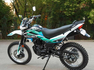 2025 Racer Panther, белый, 131500 рублей, вид 4