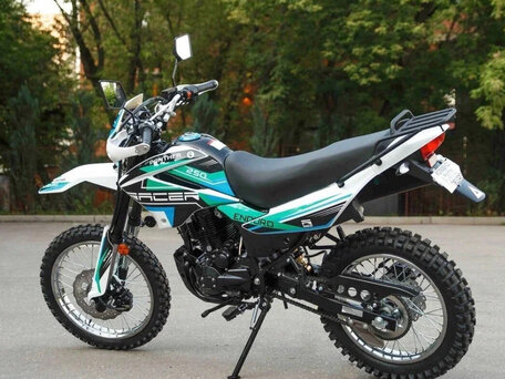 2025 Racer Panther, белый, 131500 рублей, вид 4