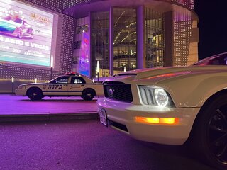 2005 Ford Mustang V, белый, 2300000 рублей, вид 5