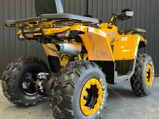 2025 Motoland Wild Track 200, жёлтый, 195600 рублей, вид 3