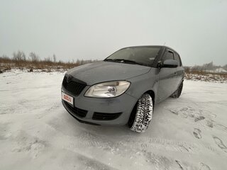 2010 Skoda Fabia II Рестайлинг, голубой, 710000 рублей, вид 1