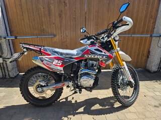 2025 Motoland Enduro 250, красный, 105000 рублей, вид 4