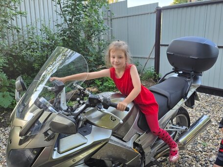2006 Yamaha FJR1300, серый, 600000 рублей, вид 5