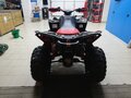 2019 BRP Can-Am Renegade 1000, красный - вид 6