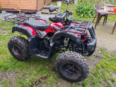 2023 Motoland ATV 250 Adventure, красный, 160000 рублей, вид 4