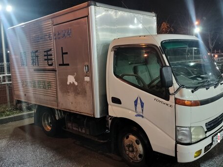 2001 Toyota Dyna, белый, 1000000 рублей, вид 2