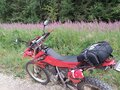 2001 Honda XR 250, красный, 240000 рублей - вид 2