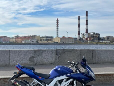 2003 Suzuki SV 1000, синий, 319000 рублей, вид 3
