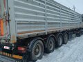 2020 Alim AD-2, серый, 3000000 рублей - вид 3