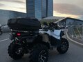2019 Stels ATV-800, белый, 699999 рублей - вид 1