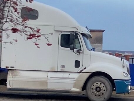 2003 Freightliner Columbia, белый, 1500000 рублей, вид 4