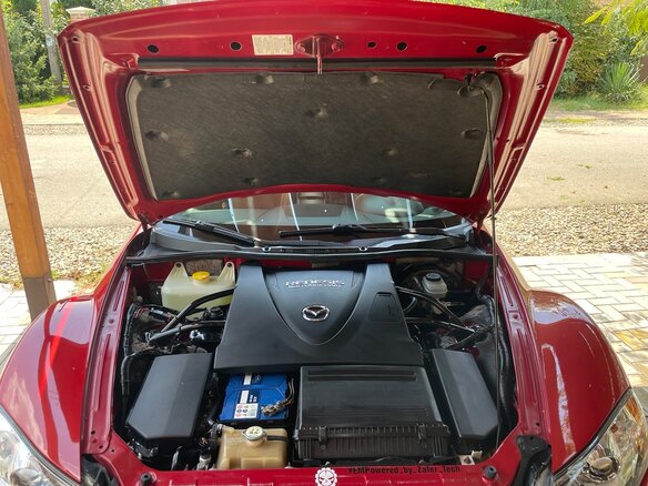 2003 Mazda RX-8 I, красный, 3200000 рублей - вид 19