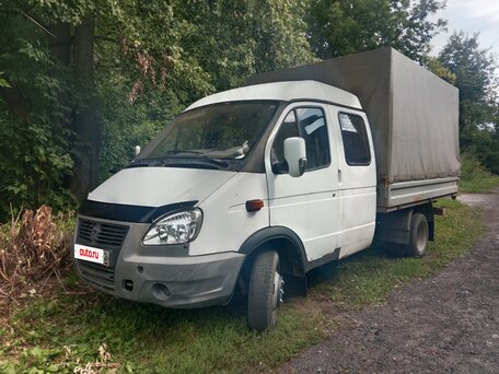 2008 ГАЗ ГАЗель (33023/330273) Фермер, белый, 690000 рублей, вид 3