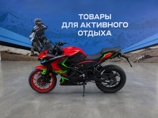 2026 Racer RC250XZR-A, красный, 194600 рублей, вид 2