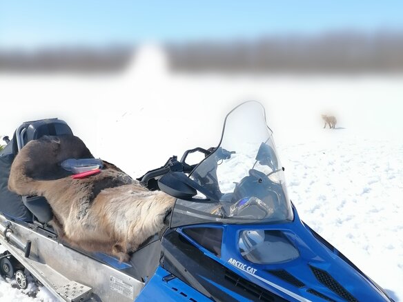 2012 Arctic Cat Bearcat, синий, 1100000 рублей
