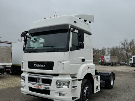 2017 КамАЗ 5490 NEO, белый, 2900000 рублей, вид 1