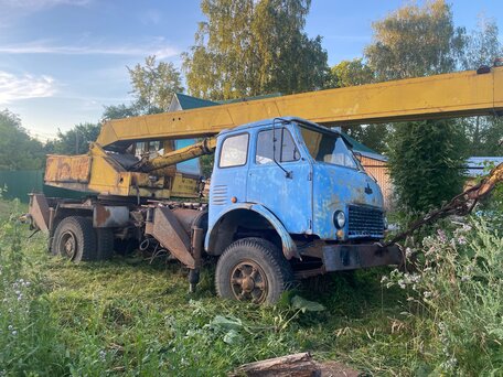 1979 МАЗ Автокраны, 250000 рублей, вид 2
